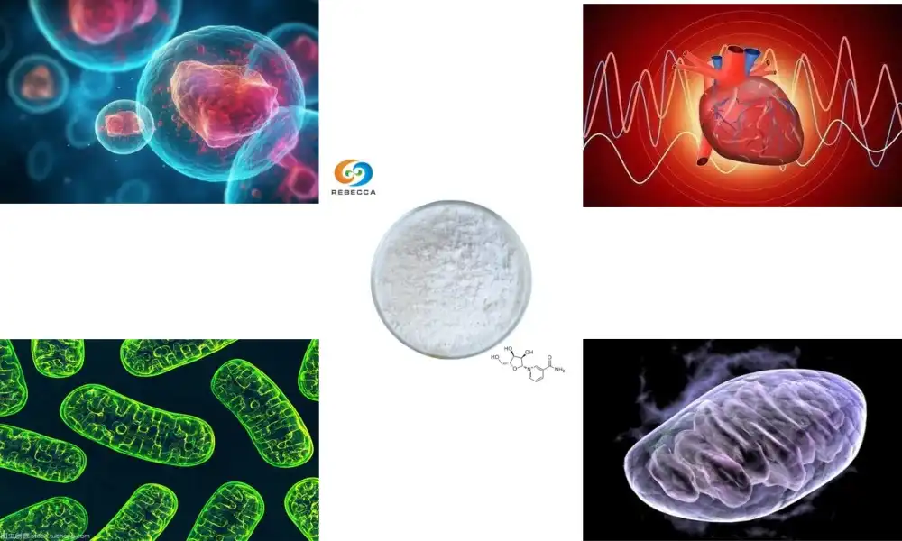 Are there any known benefits of nicotinamide riboside for aging?